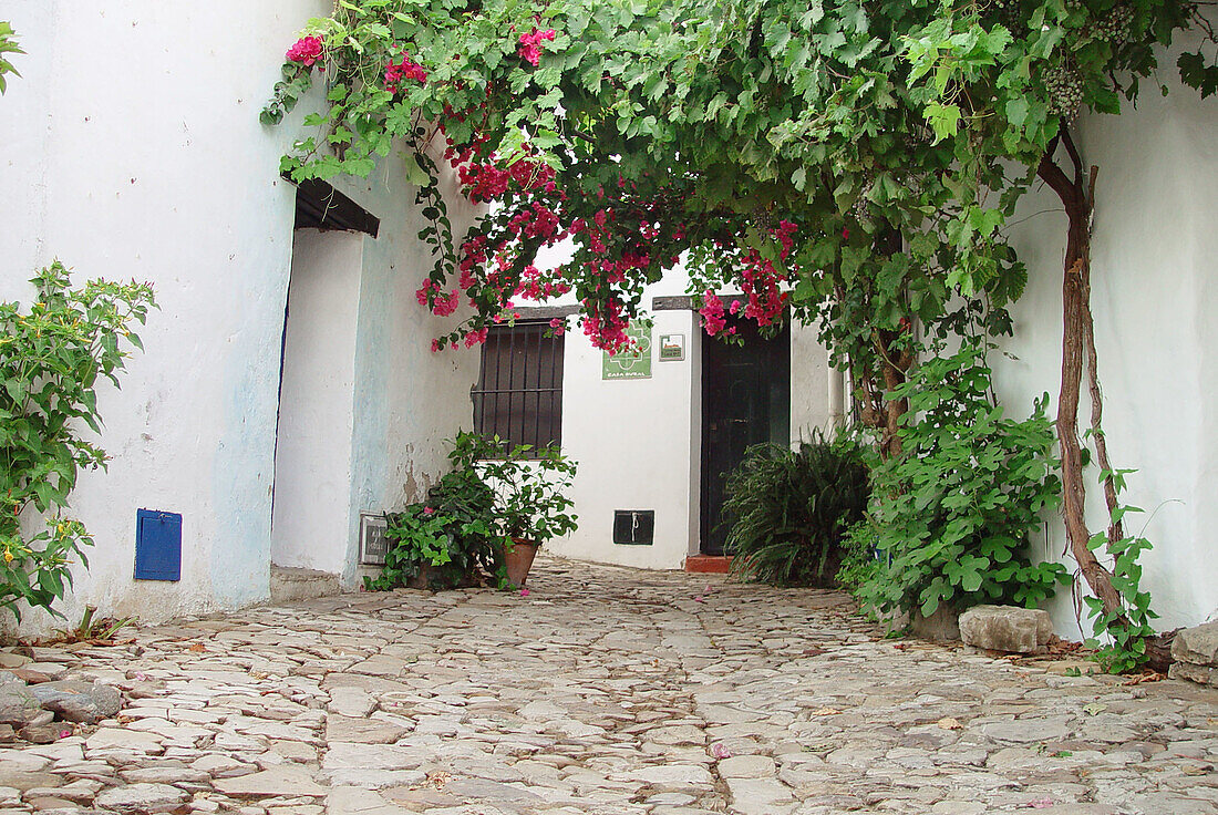 Castellar de la Frontera. Cádiz province. Andalucia. Spain