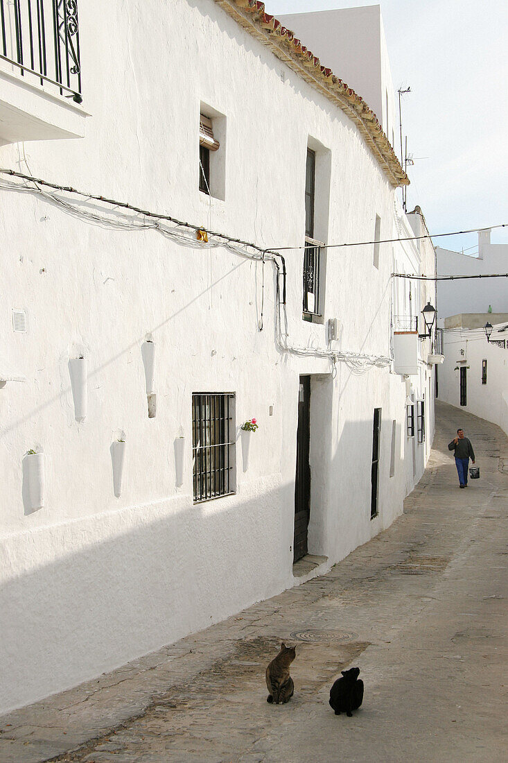 Street. Vejer de la Frontera (Cádiz). Andalusia. Spain