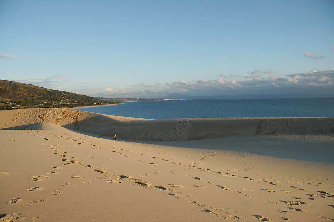 Dunes in Punta Paloma Beach. Tarifa. Cadiz province. Andalusia. Spain