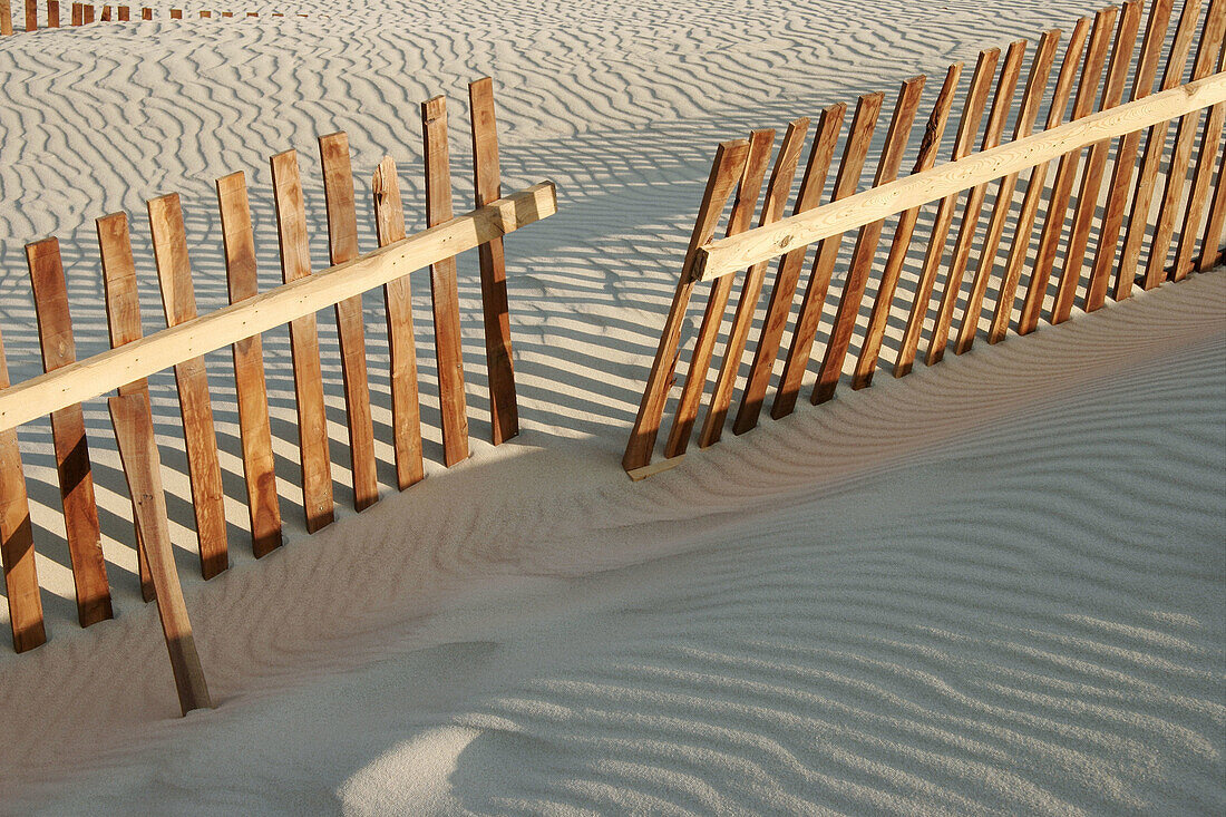 Sand dunes barriers. Valdevaqueros beach, Tarifa-Cádiz, Andalucía. Spain