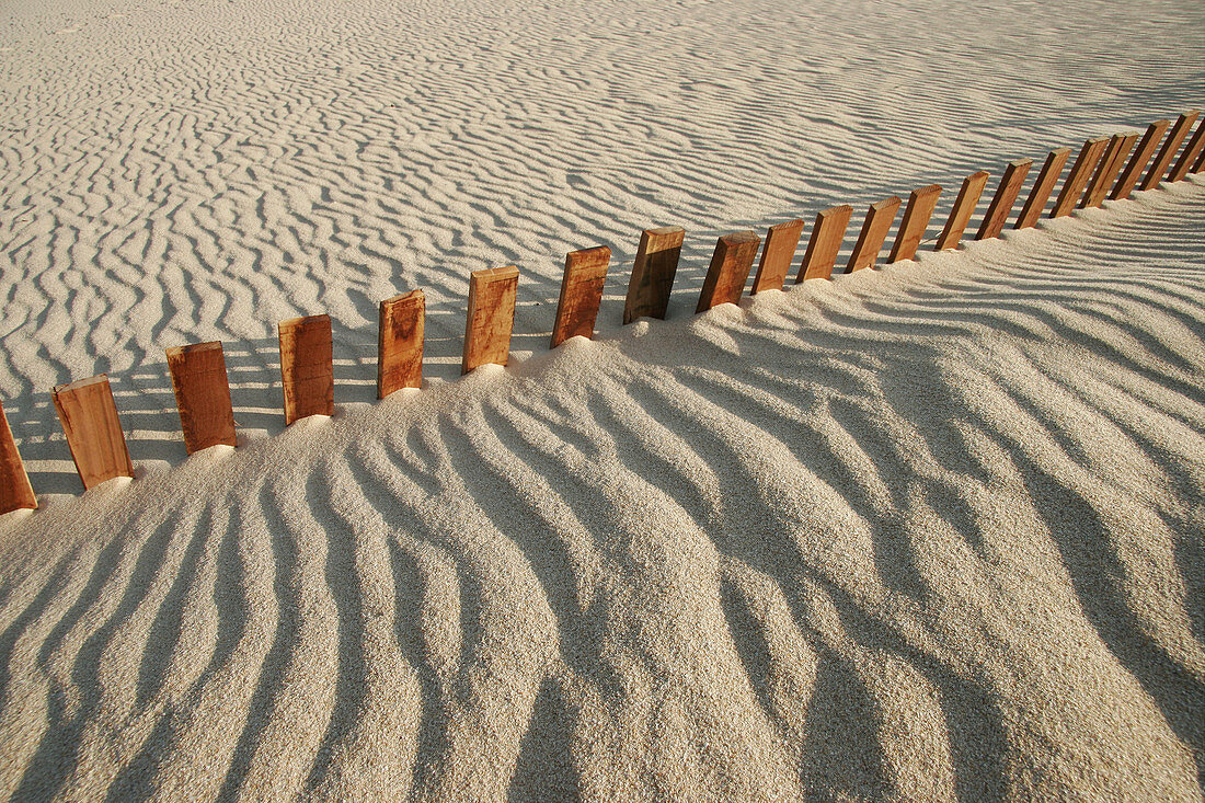 Sand dunes barriers. Valdevaqueros beach, Tarifa-Cádiz, Andalucía. Spain