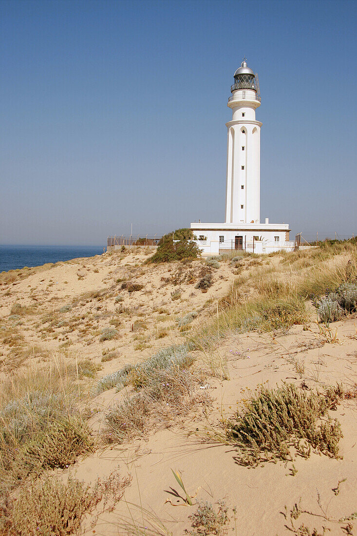 Lighthouse. Trafalgar, Caños de Meca. Cádiz province. Spain.