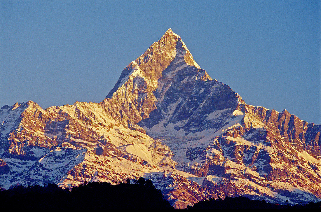 Machapuchare peak (6997m) at dawn. Nepal