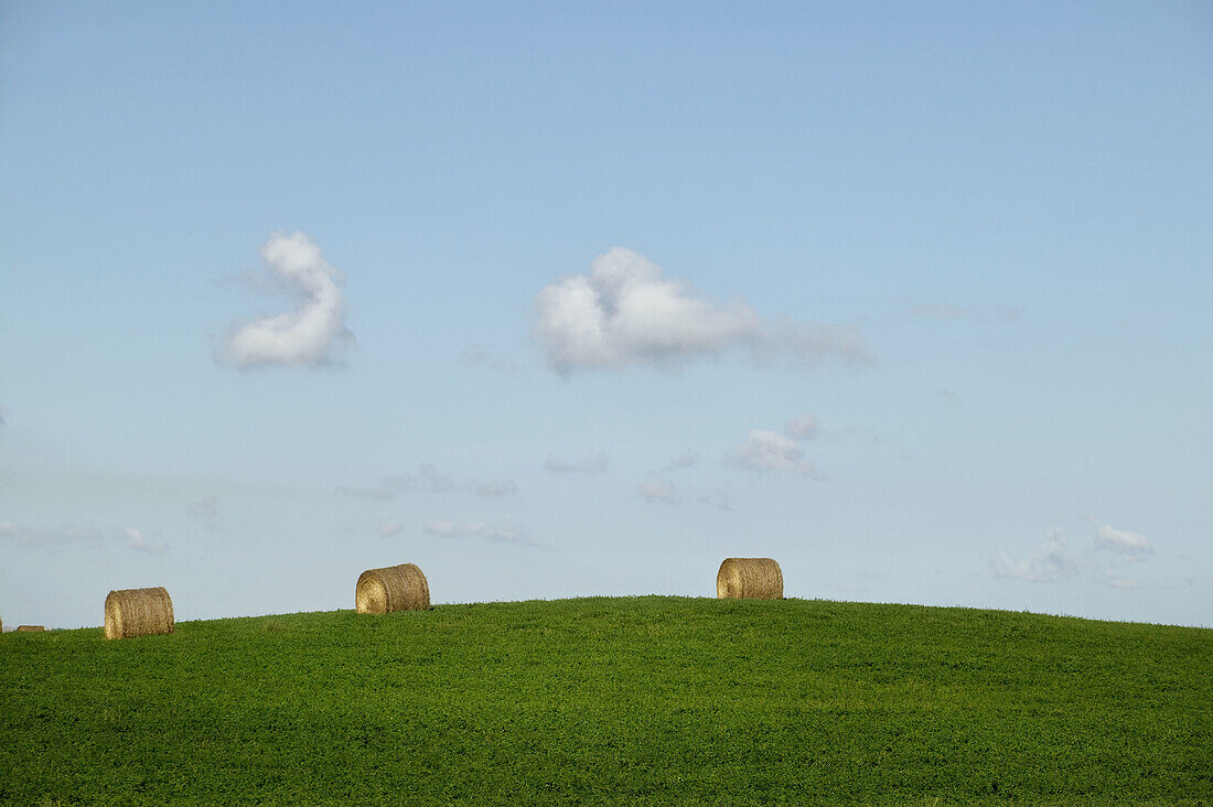 A field in Saskatchewan, Canada