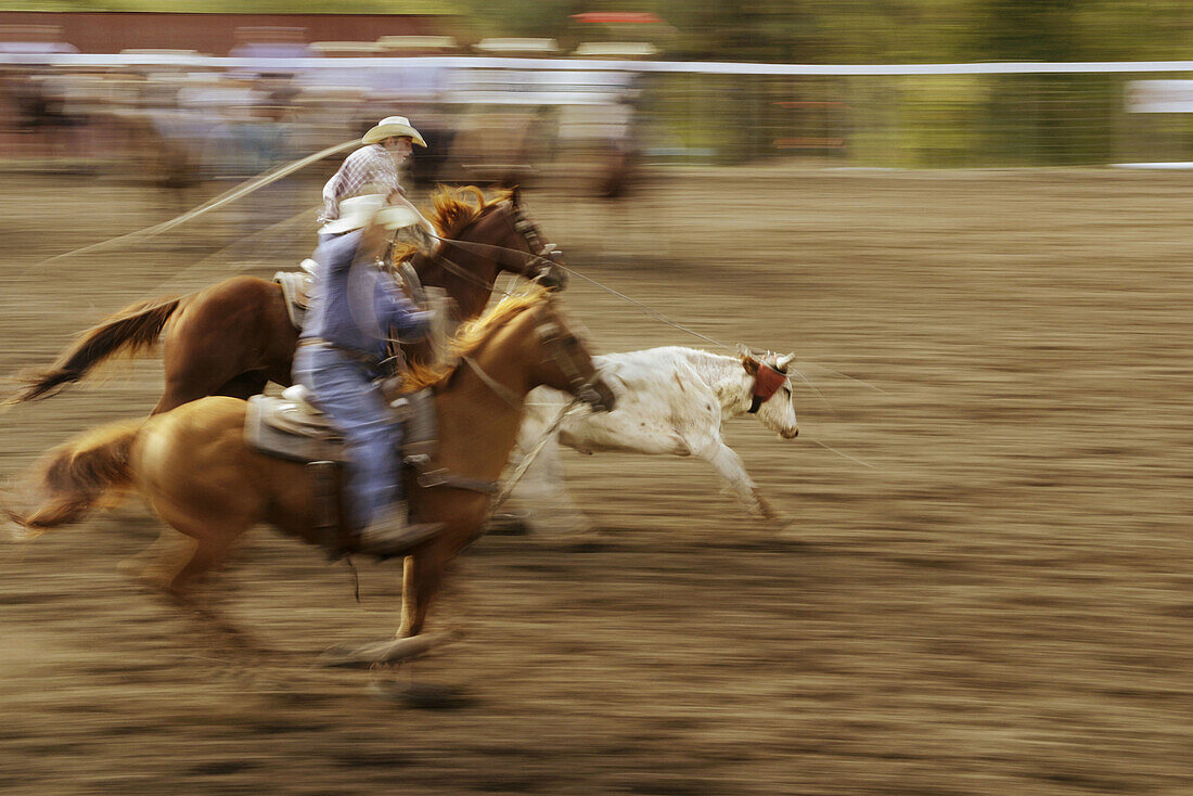 A local, small, amateur rodeo in British Columbia, Canada