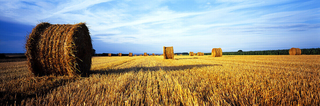 Bales of straw