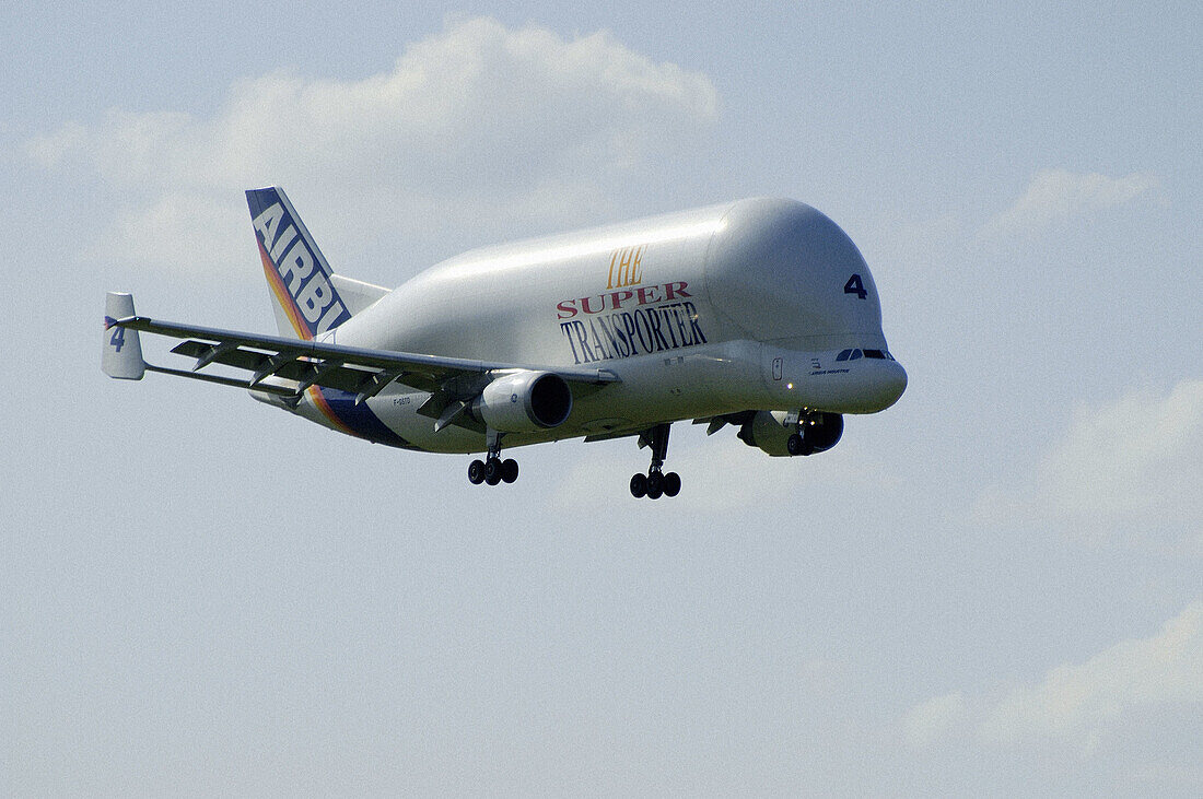 Airbus A300-600 ST, Beluga transporter