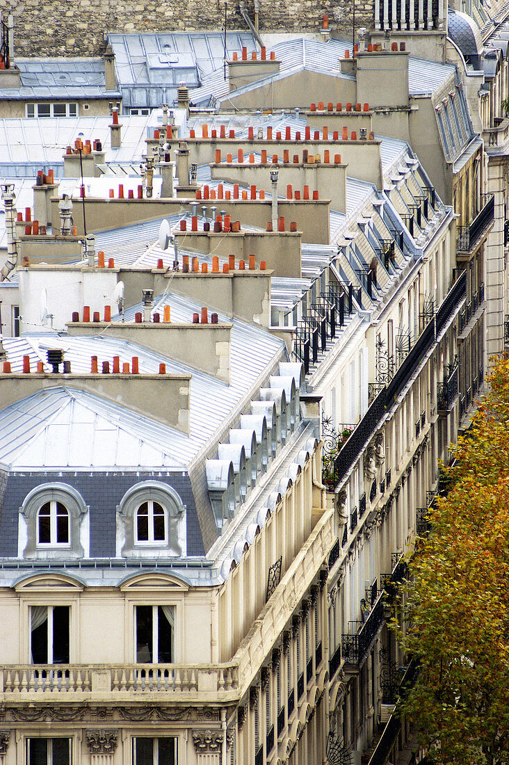 Rooftops and fall colors. Paris. France