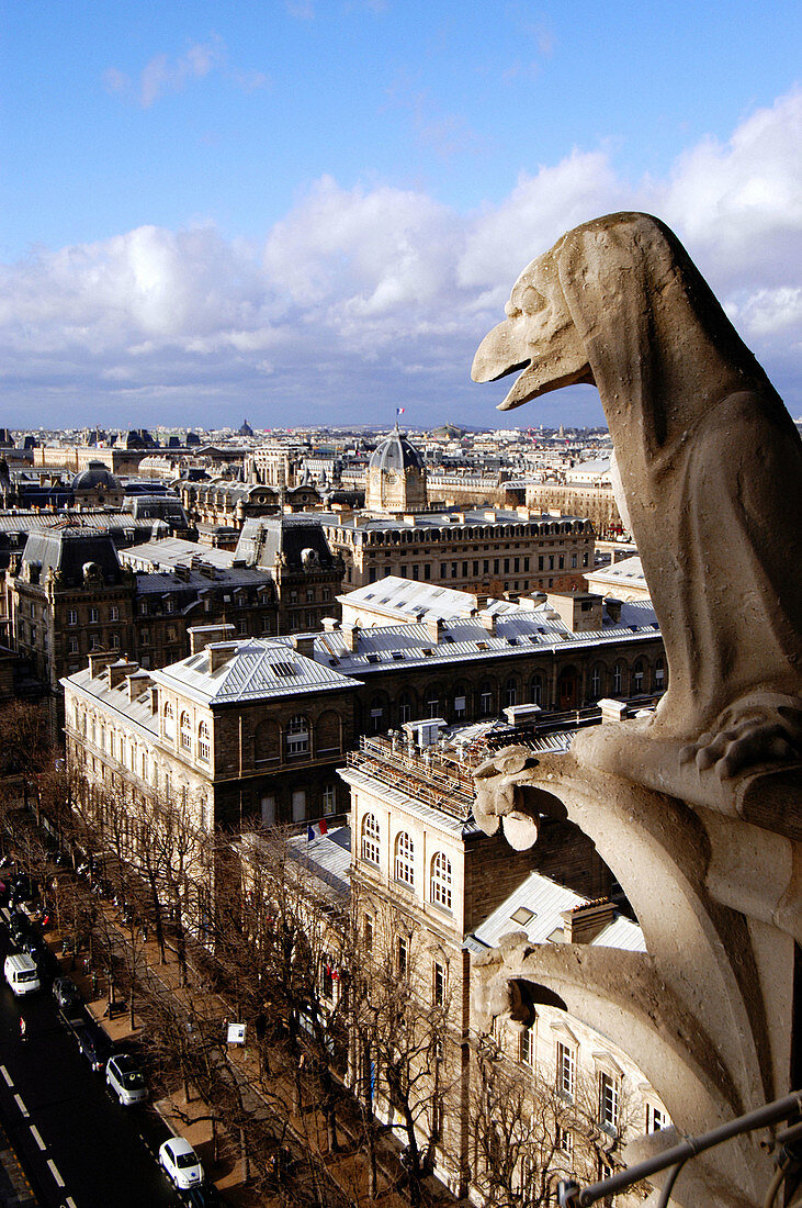 Rooftops and gargoyle from Notre-Dame. Paris. France