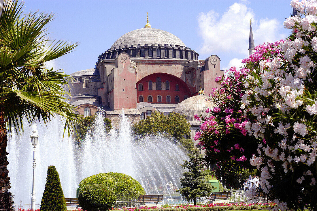 Hagia Sofia, fountain, palm trees and flowers. Istanbul. Turkey