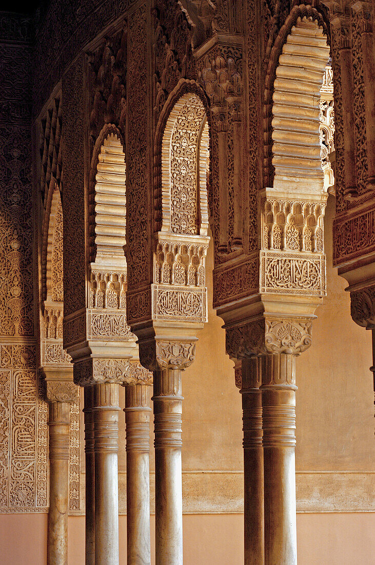 Decorated archways of the Court of Lions in the Alhambra. Granada. Andalucia. Spain