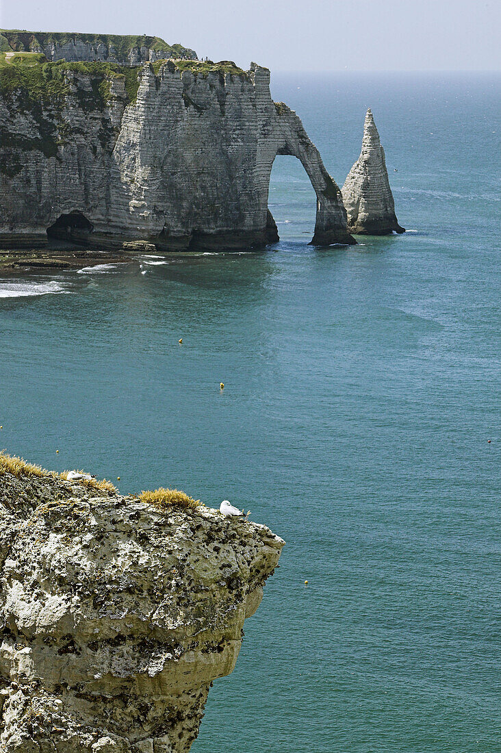 Beach and rock arch of Etretat. Normandy. France