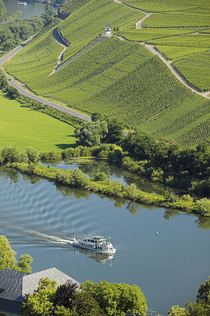 Terraced vineyards on hills along the Moselle River with boat. Moselle River Valley. Germany