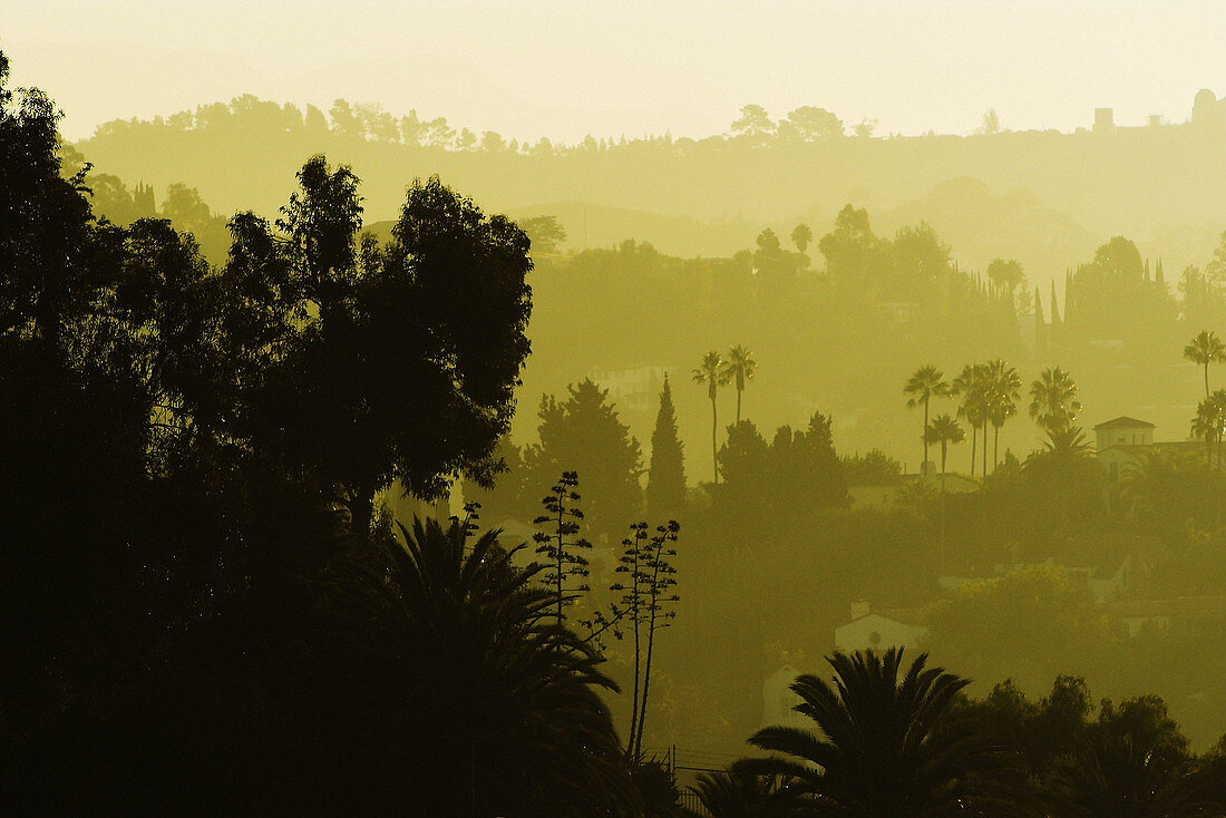 View of Los Angeles at sunset through smog. Los Angeles. California. United States