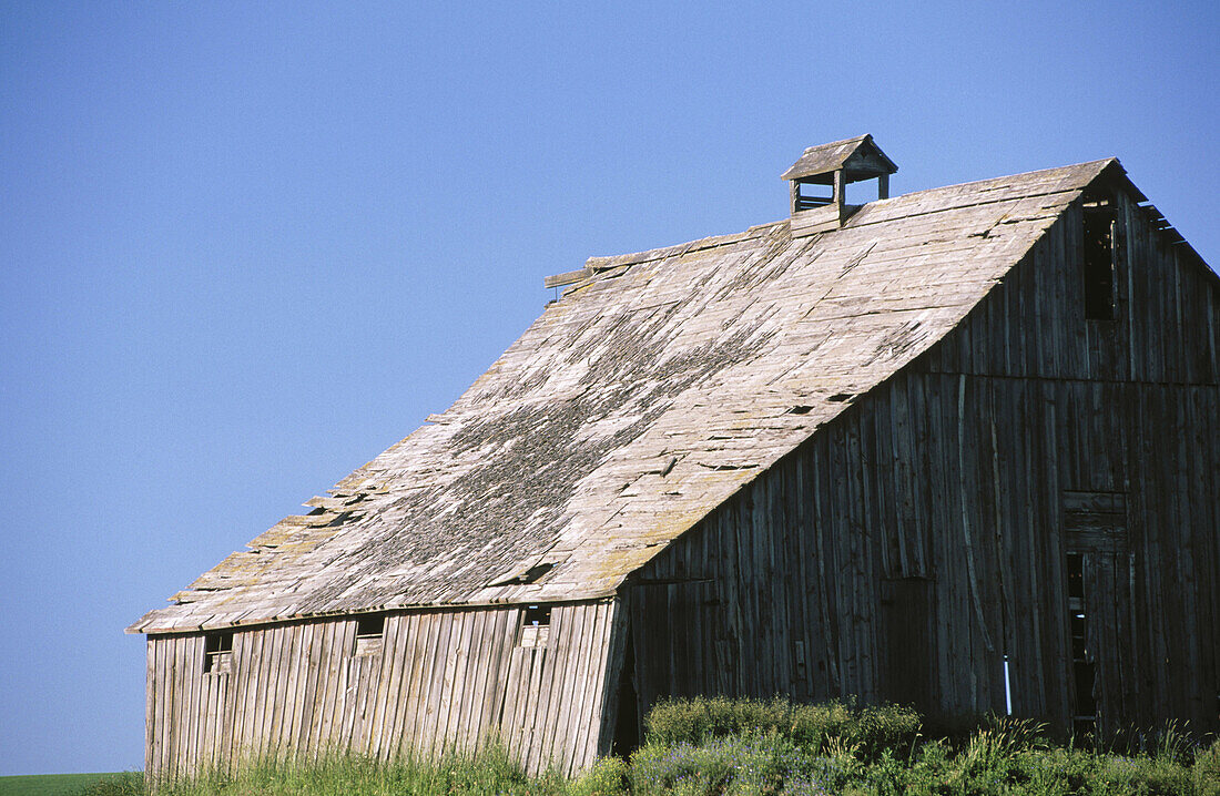 Red barn in wheat field. Palouse region. Whitman County. Washington. USA