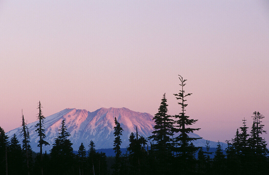 Mount St. Helens at sunrise. Mount St. Helens National Volcanic Monument. Gifford Pinchot National Forest. Washington. USA
