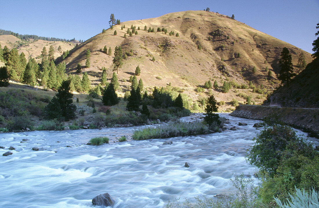 The north fork of the Payette river flows by in Valley County. Idaho. Usa.
