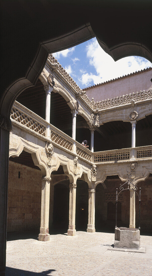 Courtyard, Casa de las Conchas. Salamanca. Spain