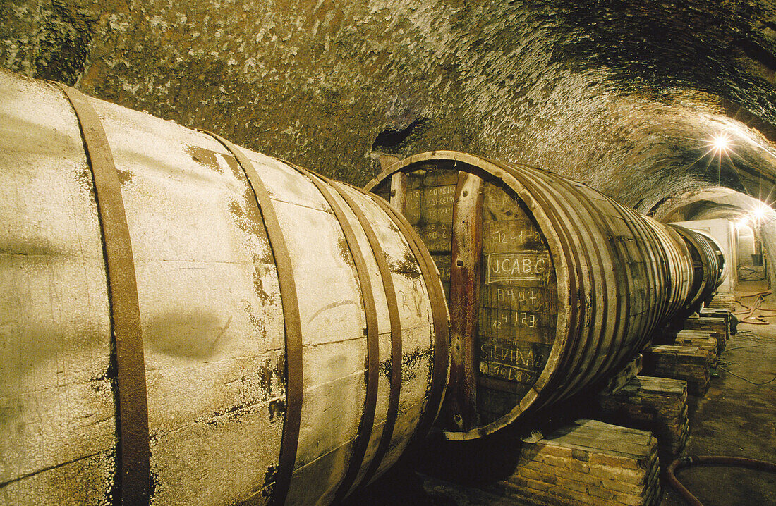 Wine cellars. Serrada. Valladolid province, Spain