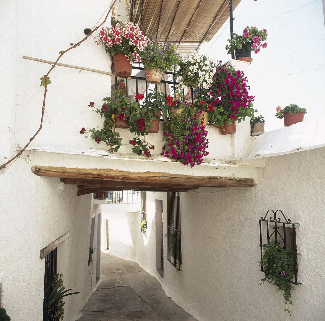 Typical street, Bubión. Alpujarras, Granada province, Andalusia, Spain