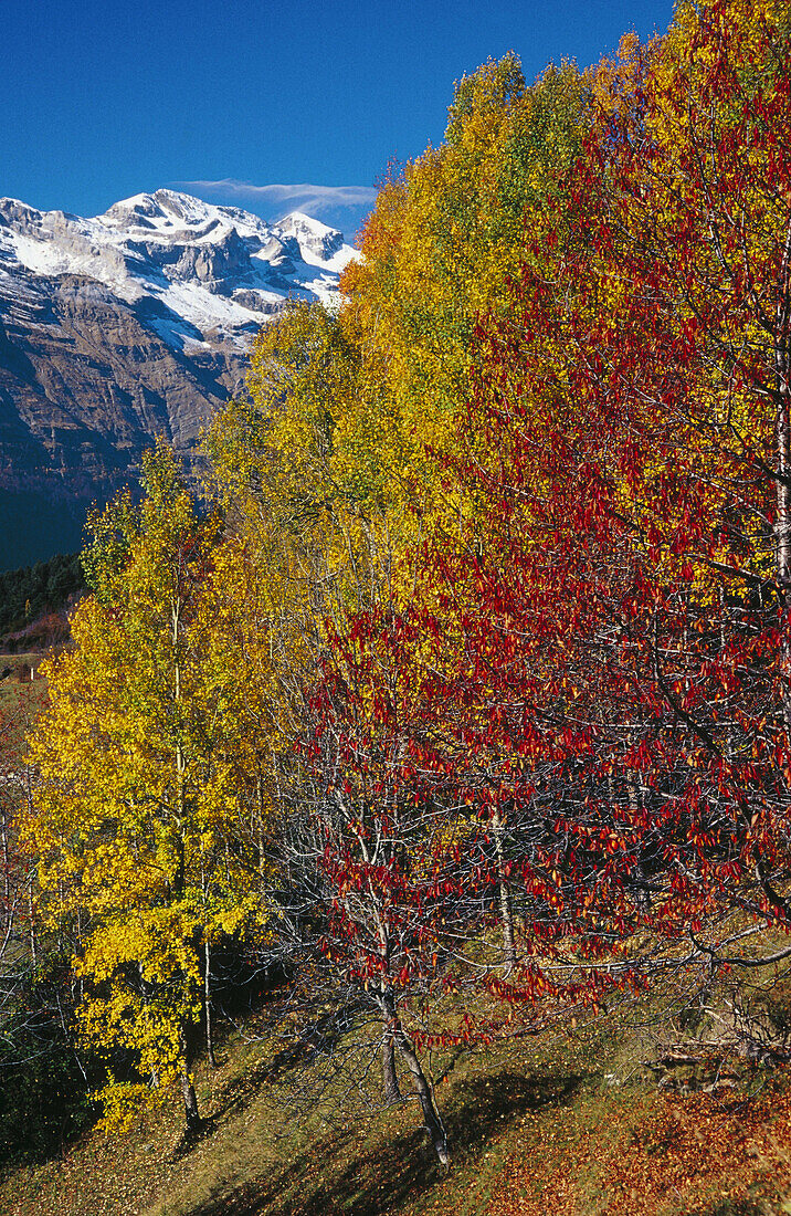 Monte Perdido and Valle de Pineta in autumn. Sobrarbe. Huesca province. Aragon. Spain