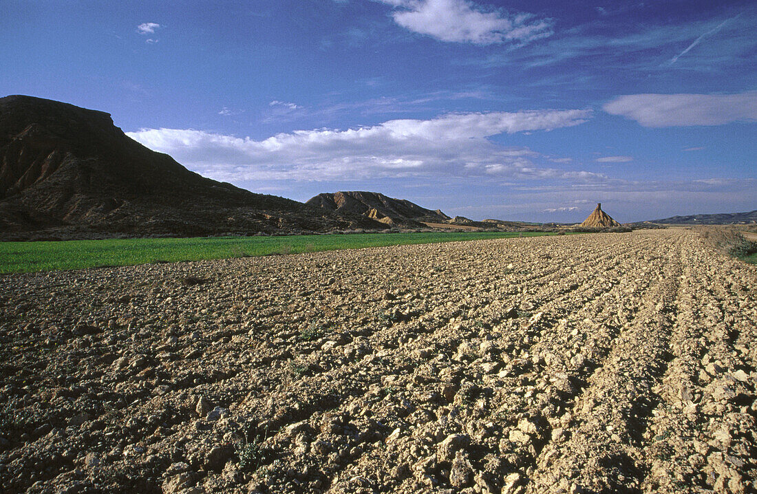 Castil de Tierra. Bardena Blanca. Bardenas Reales. Navarre. Spain