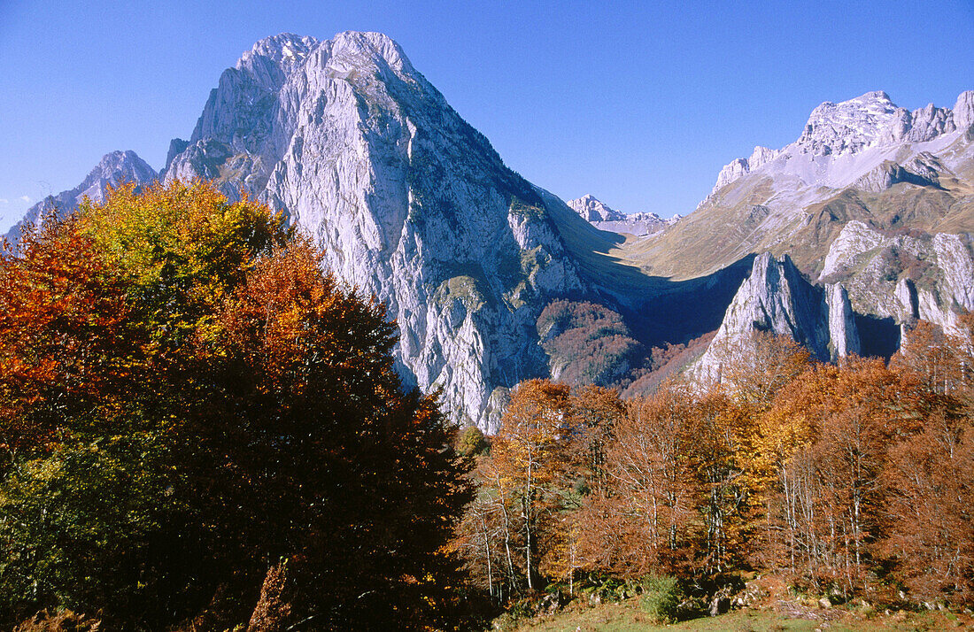 Mount Billare and Mount Anie, autumn colors. Lescun. France