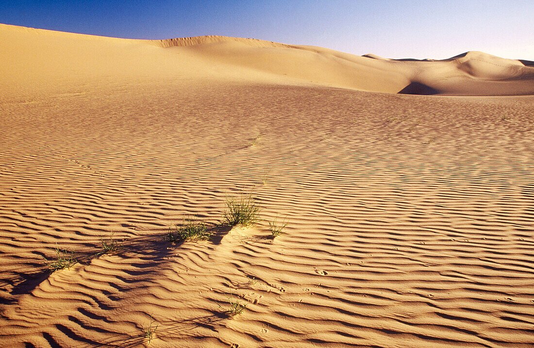 Erg Kilian dunes. Tassili del Hoggar. Algeria