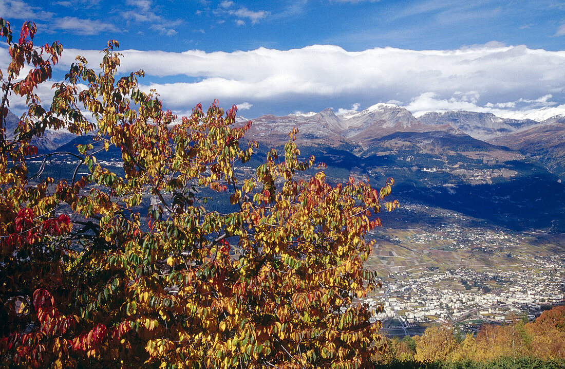 Sierre. Valais. Switzerland.