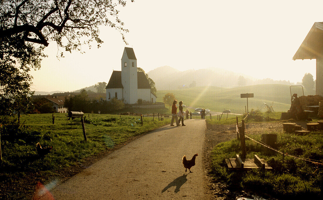 Landscape with small chapel in Samerberg, Chiemgau, Upper Bavaria, Bavaria, Germany