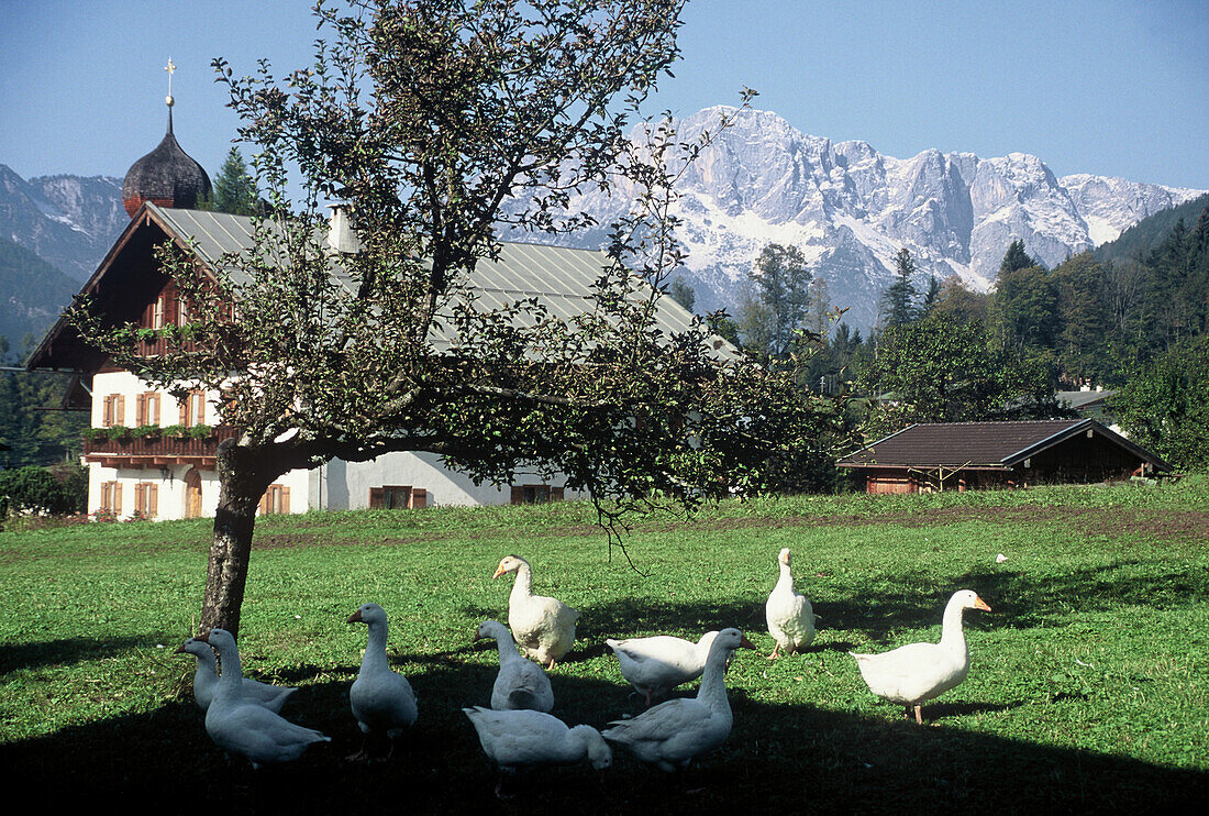 Landscape over Berchtesgaden, Berchtesgadener Land, Upper Bavaria, Bavaria, Germany