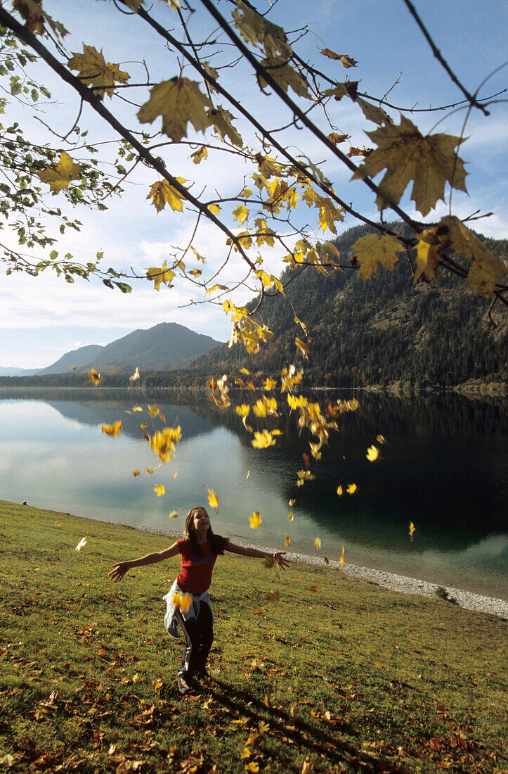 Junges Mädchen wirft Herbslaub, Sylvensteinspeicher See, Bayern, Deutschland