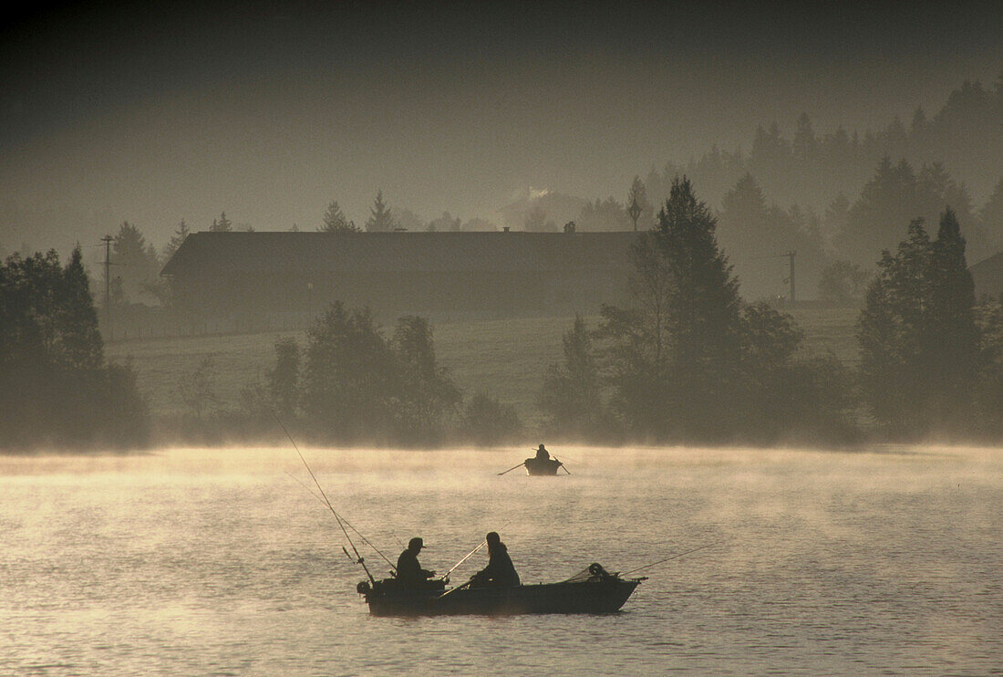 Morgennebel am Tegernsee, Seen in Bayern, Oberbayern, Bayern, Deutschland