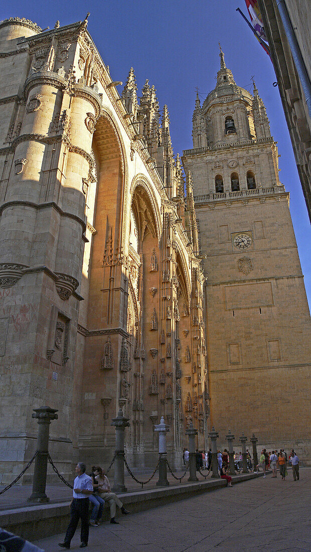 New and old cathedral. Salamanca. Spain