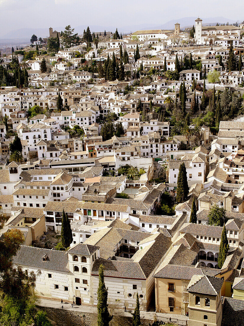 Granada. Andalusia. Spain