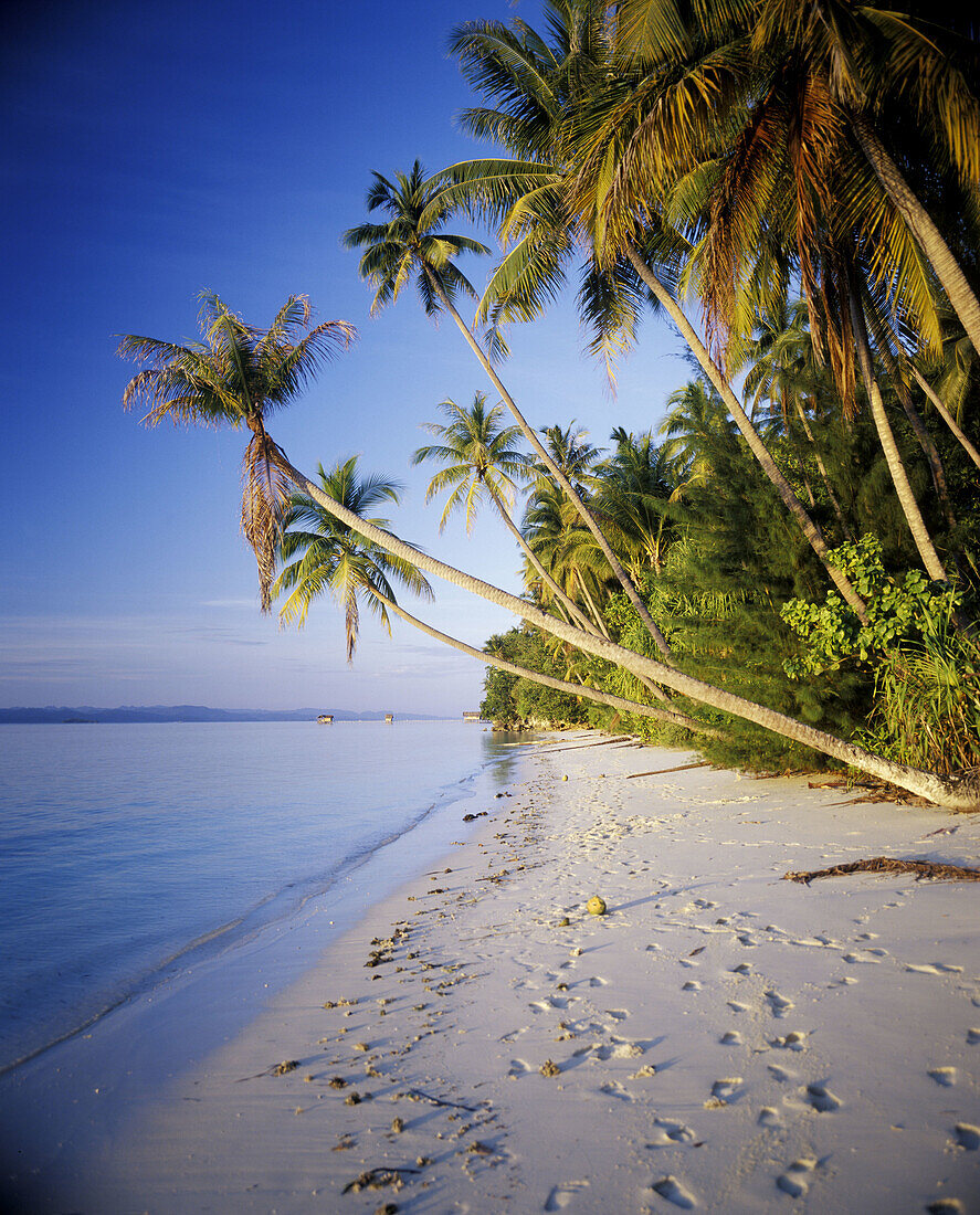 Tropical beach at sunset with foot steps in the sand. Archipelago of Raja Ampat. Papua, Indonesia