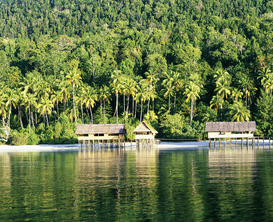 Houses on stilts of the diving resort Irian Diving . Archipelago of Raja Ampat. Papua, Indonesia