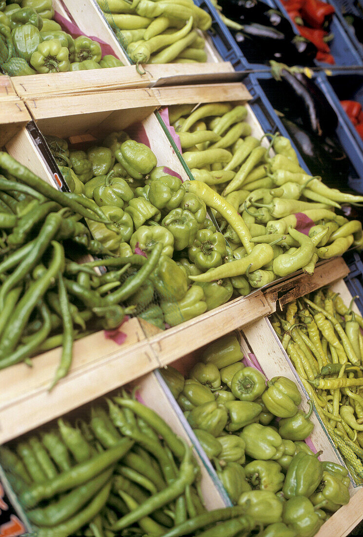 Fresh peppers and chillies at farmers market