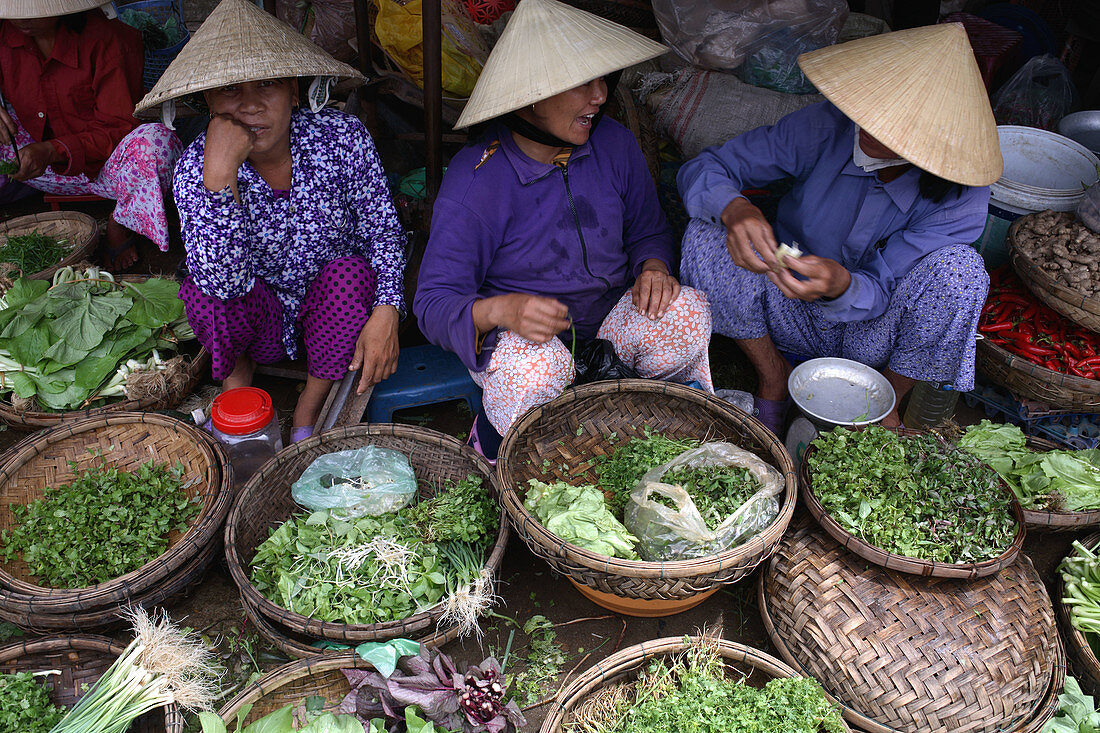 Three women sitting on the floor and selling vegetables on the fresh food market of Hoi An, Vietnam, Southeast Asia