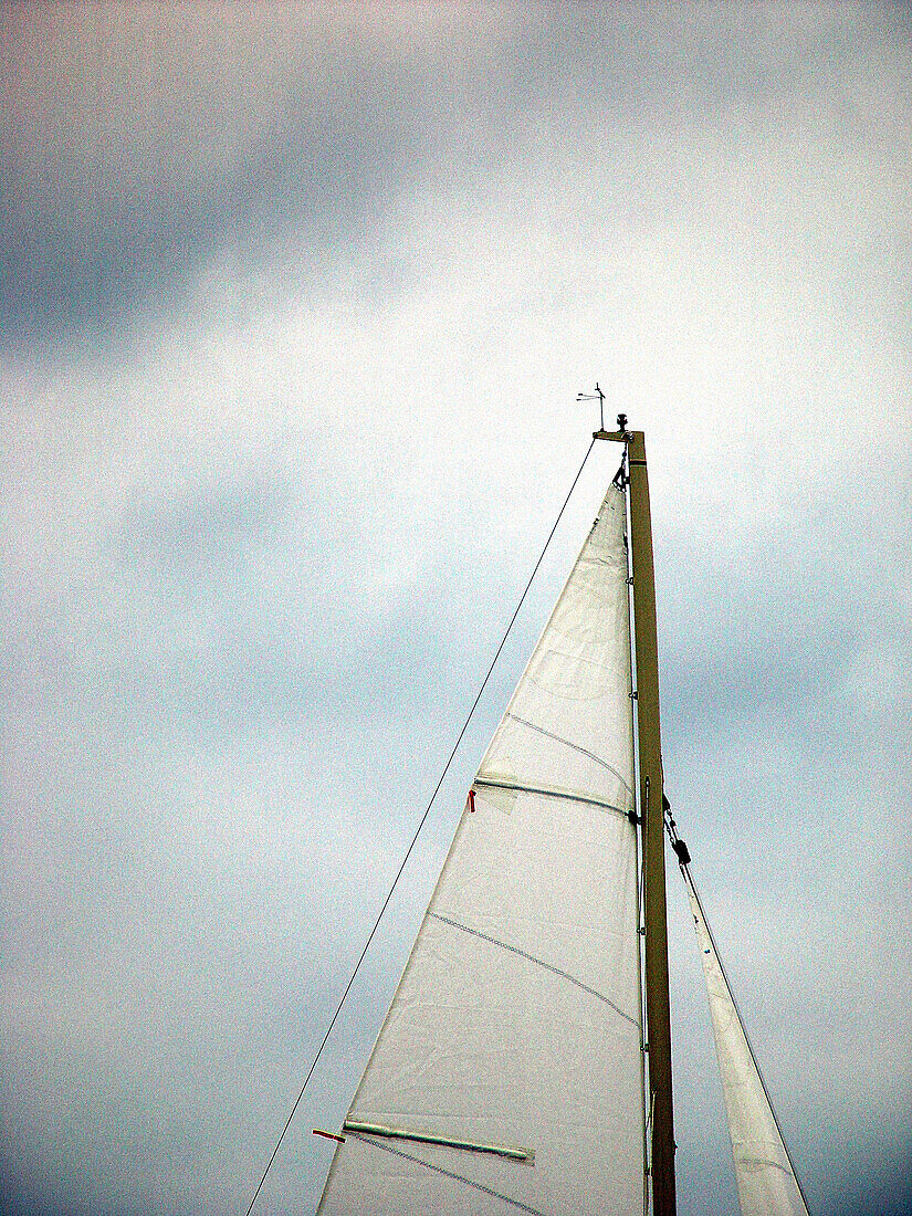 Mainsail from a 35 ft. sailbooat on the Chesepeake Bay