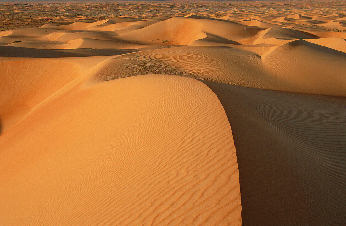 Chinguetti region. Mauritanie