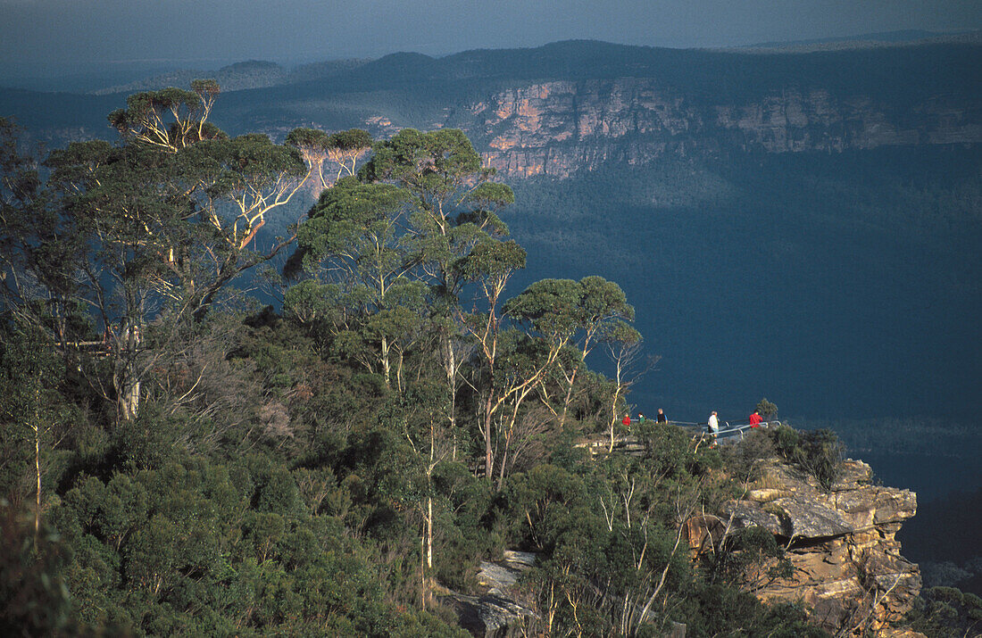 Blue Mountains National Park. New South Wales. Australia