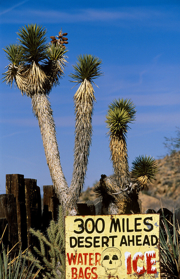 Sign on Route 66. Arizona, USA