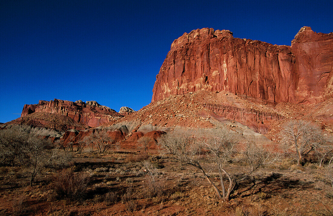 Capitol Reef National Park. Utah, USA