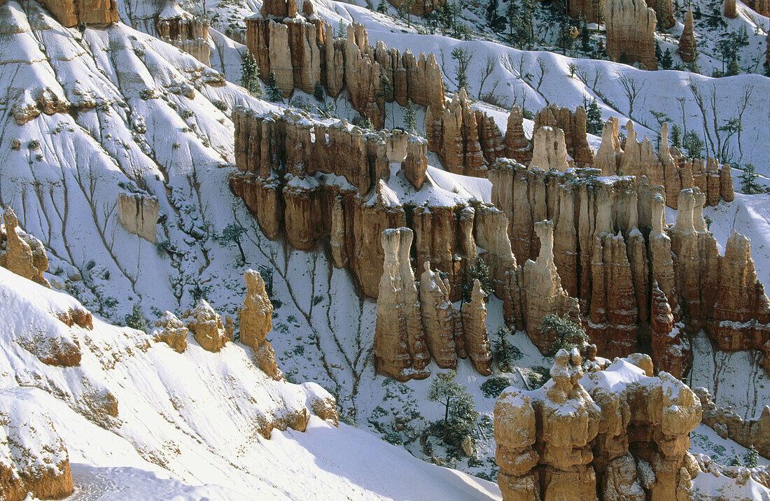 Bryce Canyon National Park. Utah. USA