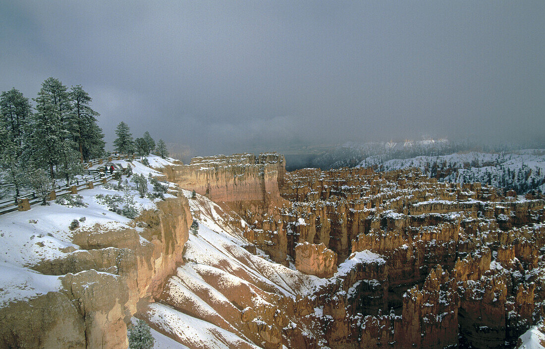 Bryce Canyon National Park. Utah. USA