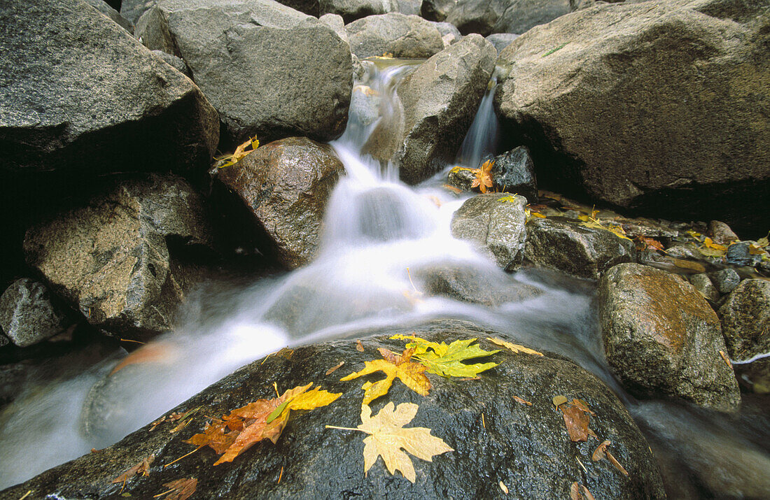 Creek in Yosemite National Park. California, USA