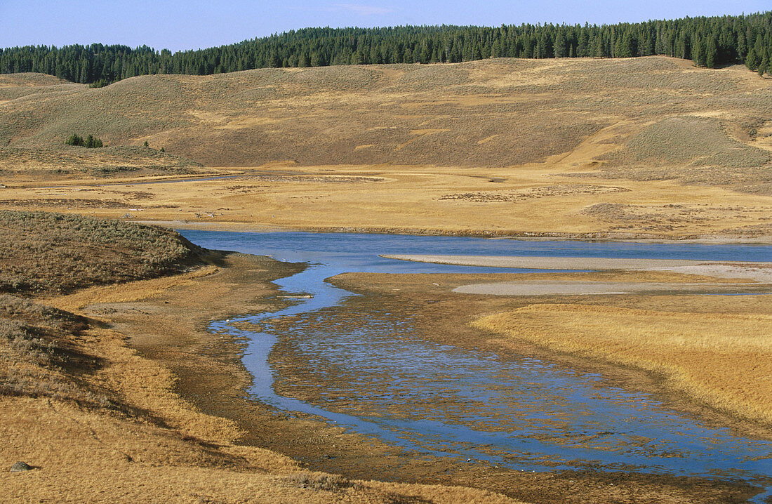 Yellowstone River in Yellowstone National Park. Wyoming, USA