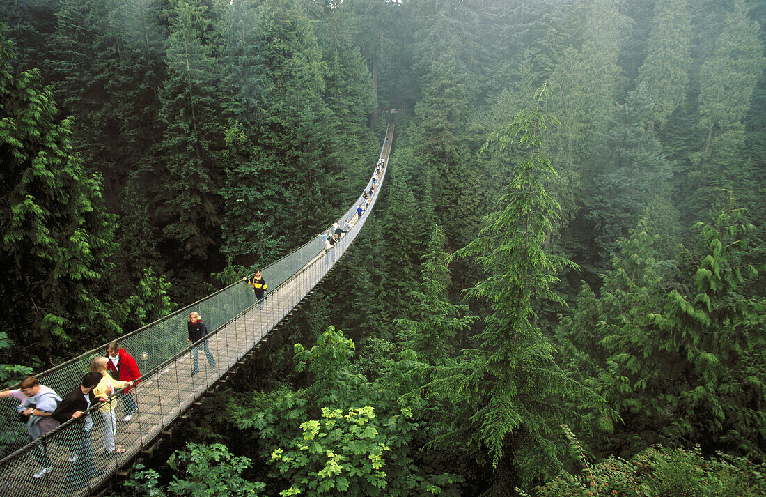 Capilano Suspension Bridge In Vancouver. … – License Image – 70179538 