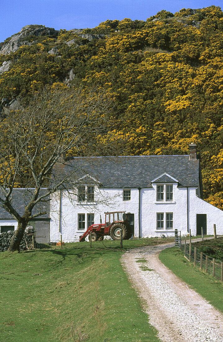 Lochinver area. Highlands. Scotland. UK.